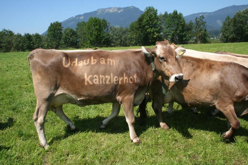 Kanzlerhof Bad Mitterndorf Ngoại thất bức ảnh